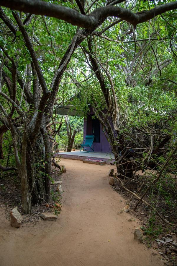 Hotel Yala Eco Bush Camp Zewnętrze zdjęcie