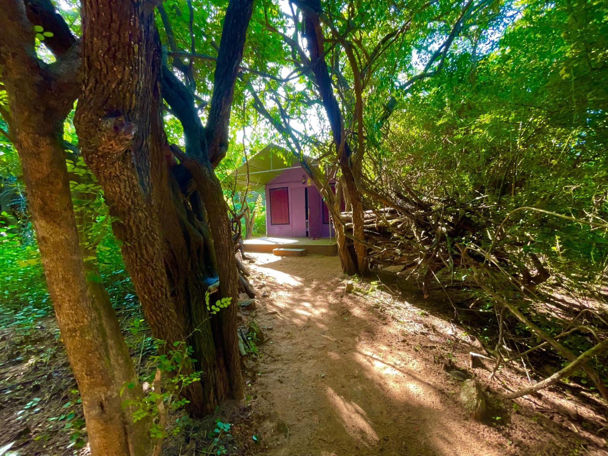 Hotel Yala Eco Bush Camp Zewnętrze zdjęcie