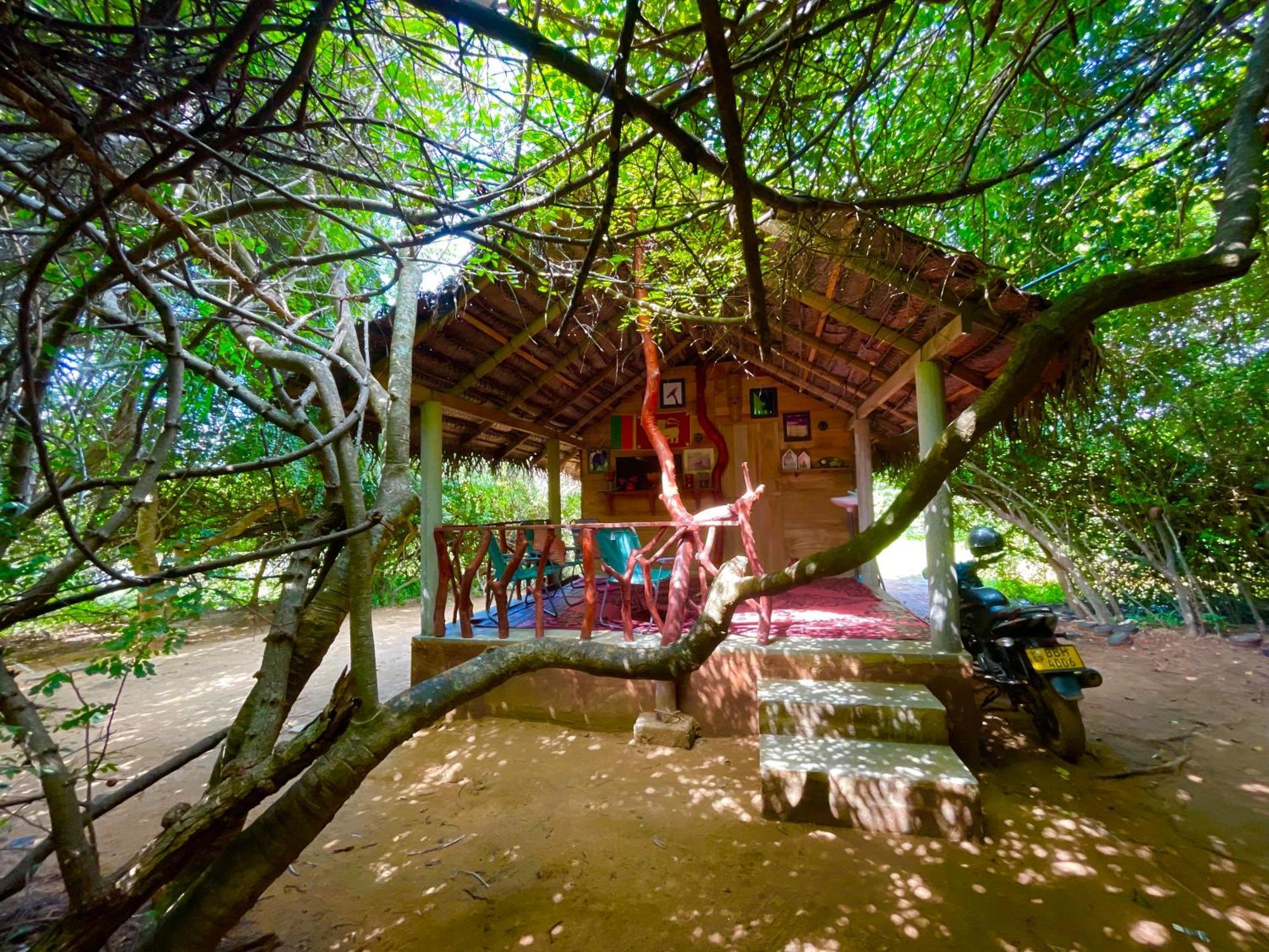 Hotel Yala Eco Bush Camp Zewnętrze zdjęcie