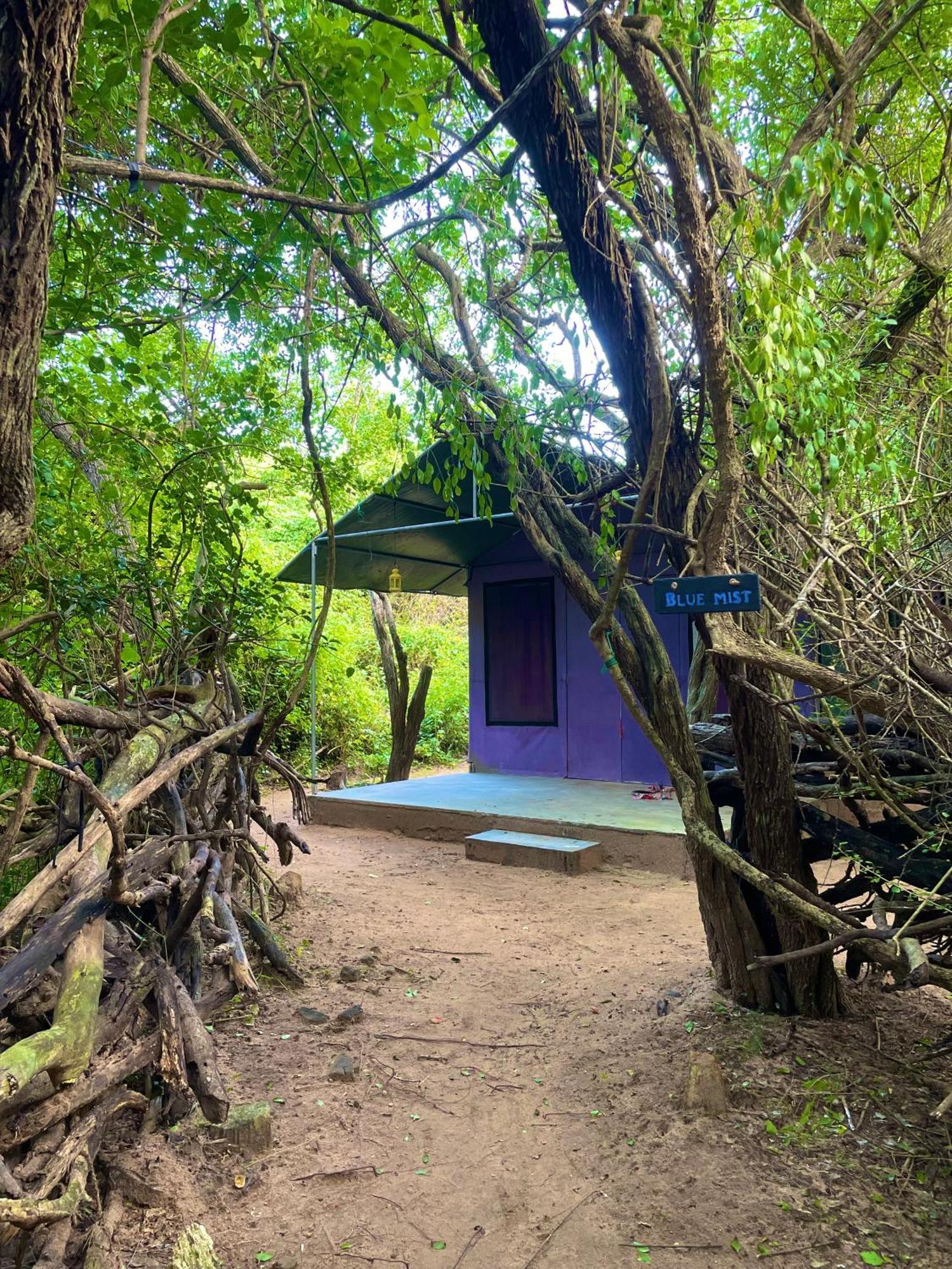 Hotel Yala Eco Bush Camp Zewnętrze zdjęcie