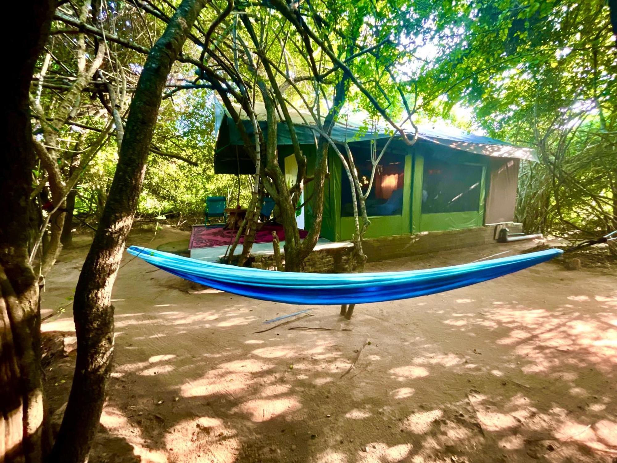Hotel Yala Eco Bush Camp Zewnętrze zdjęcie