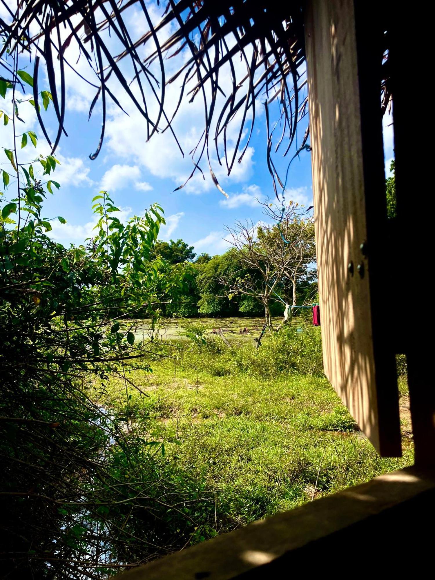 Hotel Yala Eco Bush Camp Zewnętrze zdjęcie