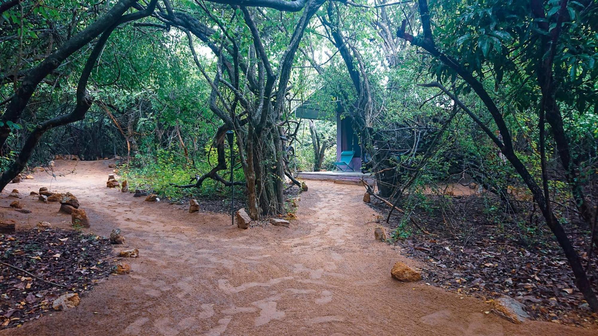 Hotel Yala Eco Bush Camp Zewnętrze zdjęcie