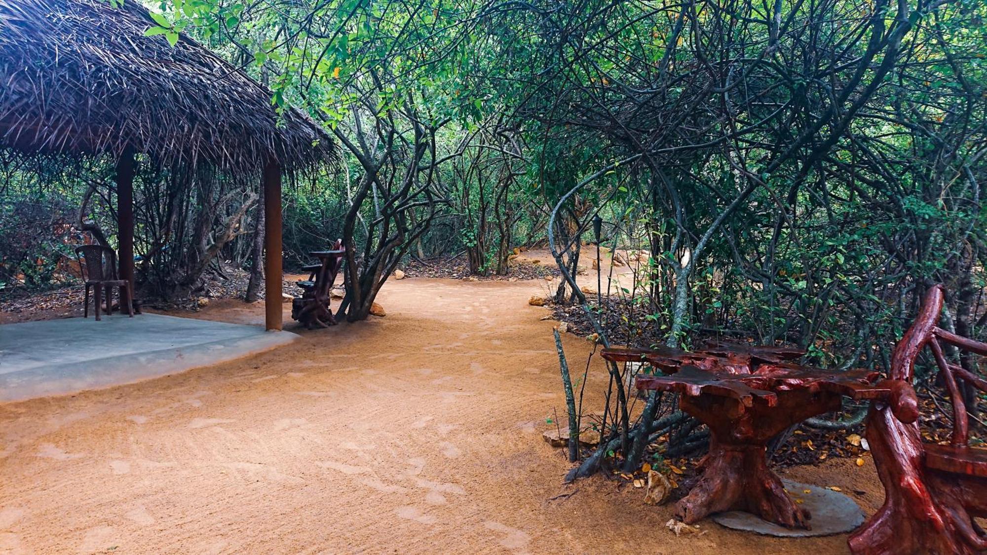 Hotel Yala Eco Bush Camp Zewnętrze zdjęcie